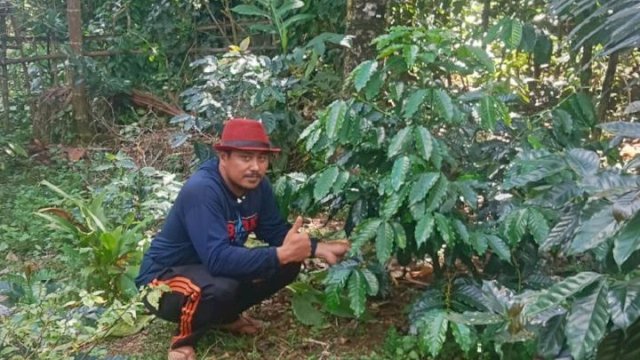 Andi Ina: Barru Akan Jadi Daerah Kebangkitan Kopi