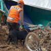 Anjing Pelacak Bergerak, 3 Mayat Korban Longsor Gowa Ditemukan