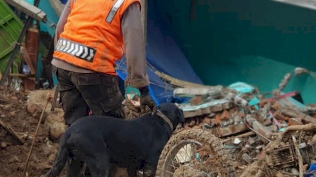Anjing Pelacak Bergerak, 3 Mayat Korban Longsor Gowa Ditemukan