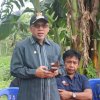 Bantaeng Kembangkan Perkebunan Cabai Dataran Rendah