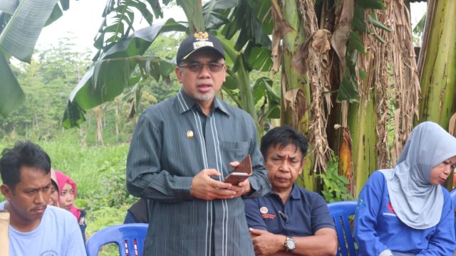 Bantaeng Kembangkan Perkebunan Cabai Dataran Rendah
