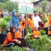 Ketua PKK Bantaeng Kunjungi Lima Kelompok Wanita Tani di Bantaeng