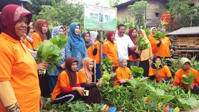 Ketua PKK Bantaeng Kunjungi Lima Kelompok Wanita Tani di Bantaeng