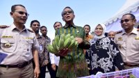 Gubernur Sulsel Puji Prestasi Kementan di Depan Eksportir