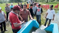 Kunker di Sidrap, Wagub Tinjau Irigasi dan Bendung di Sidrap