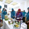 Peringati Hari Ikan Nasional, TP PKK Makassar Gelar Demo Masak