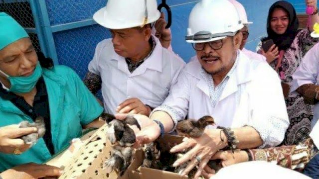 SYL: Izinkan Saya Memimpin, Bantuka Senior