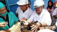 Mentan Kunjungi Peternakan Ayam Unismuh