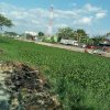 Kurang Perhatian, Enceng Gondok Kini Tumbuh Subur Penuhi Kanal Batua