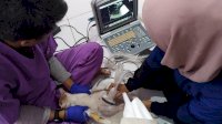 Puskeswan Antang Kekurangan Dokter Hewan
