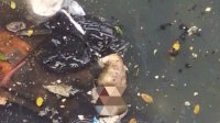 Polisi Kejar Orang Tua Bayi Yang Ditemukan di Drainase