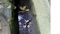 Bayi di Temukan Mengapung di Drainase