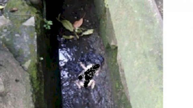 Bayi di Temukan Mengapung di Drainase