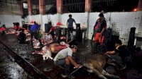 RPH Makassar Segera Dimodernisasi
