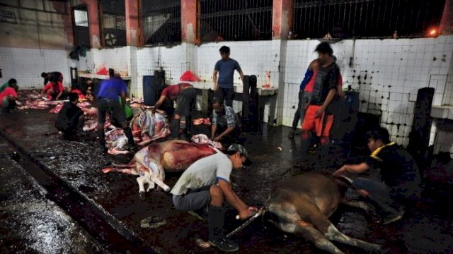 RPH Makassar Segera Dimodernisasi