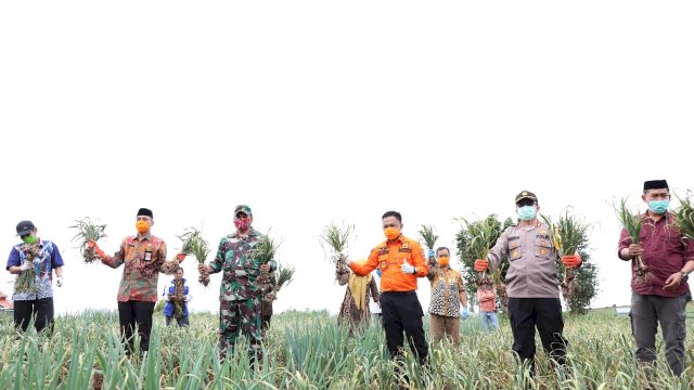 Bupati Bantaeng Bersam Forkopimda Melakukan Panen Bawang 