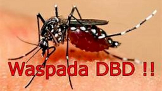 294 Pasien DBD Meninggal Dunia
