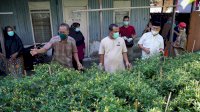Di Bara-Barayya, Wagub Tinjau Kondisi Masyarakat Terdampak Covid-19