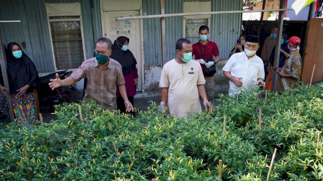 Di Bara-Barayya, Wagub Tinjau Kondisi Masyarakat Terdampak Covid-19