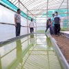 Sudirman Sulaiman Kunjungi Greenhouse Milik Ardiansyah