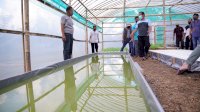 Sudirman Sulaiman Kunjungi Greenhouse Milik Ardiansyah