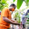 Wagub Bantu Bibit Sayur dan Ikan untuk Warga Bara-Baraya