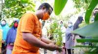 Wagub Bantu Bibit Sayur dan Ikan untuk Warga Bara-Baraya