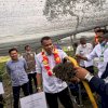 Syaharuddin Panen Perdana Tanaman Porang