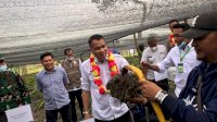Syaharuddin Panen Perdana Tanaman Porang