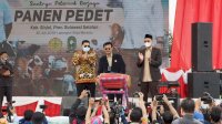 Abdul Hayat Dampingi Menteri Pertanian Panen 630 Sapi Hasil Inseminasi Buatan