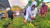 Warga Karunrung Beri Kejutan ke Fatmawati Rusdi
