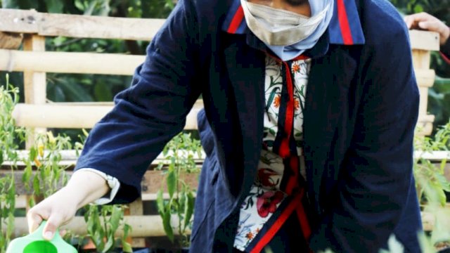 Kebun Idamanta’, Kreativitas Warga Dukung Danny-Fatma