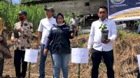 Ekspor Budidaya Porang, Direktur pembiayaan Kementan, Siapkan Kur Untuk Petani di Sulsel