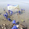 Polairud Polda Sulsel Tanam 100 Pohon Mangrove di Pelabuhan Untia