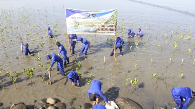 Polairud Polda Sulsel Tanam 100 Pohon Mangrove di Pelabuhan Untia