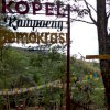 KOPEL: Camp Demokrasi sebagai Sarana Membangun Integritas Pemuda Anti Korupsi