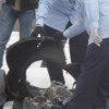 Analisis KNKT mengenai Sriwijaya Air sebelum hilang kontak, datanya terekam hingga 250 kaki