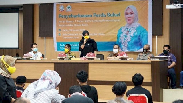 Andi Ina: Perda Nomor 7 Tahun 2019, Dorong Produktivitas Koperasi dan UMKM