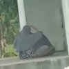 Video Wikwik 21 Detik di Gerbang Wisata Bantimurung Viral, Ini Tanggapan Pihak Pariwisata