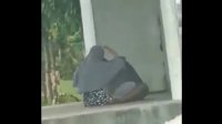 Video Wikwik 21 Detik di Gerbang Wisata Bantimurung Viral, Ini Tanggapan Pihak Pariwisata