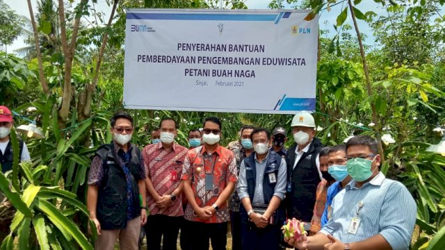 Bupati Sinjai Andi Seto bersama GM PLN Unir Induk Wilayah (UIW) Sulselrabar Awaluddin Hafid bersama rombongan di sela-sela tumbuhan buah naga, Kamis (25/2/2021). | [Sapri/trotoar.id]