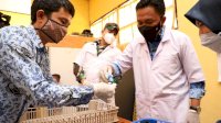 Ilham Azikin Dorong Produksi Bibit Ternak Ayam Berkualitas di Bantaeng