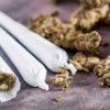 Polisi Sita 1 Kg Ganja dari Lima Orang Mahasiswa di Makassar