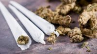 Polisi Sita 1 Kg Ganja dari Lima Orang Mahasiswa di Makassar