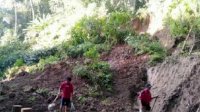 4 Rumah Diterjang Longsor di Torut, Dipicu Hujan Deras