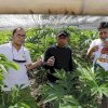 Danny Pomanto Belajar Berkebun Porang Kebun Syahar