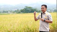 Petani di Kampung Kaili, Bantaeng Panen Padi Berlimpah Tanpa Pupuk Subsidi