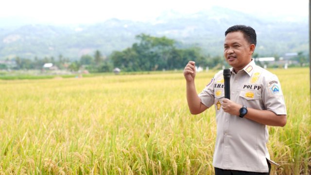 Petani di Kampung Kaili, Bantaeng Panen Padi Berlimpah Tanpa Pupuk Subsidi
