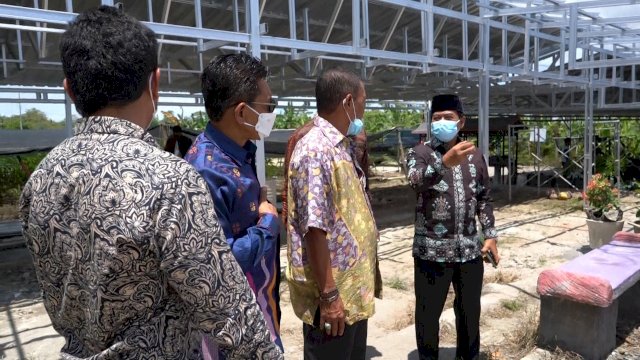 Gubernur Kalimantan Utara Kunjungi Kebun Porang di Sidrap