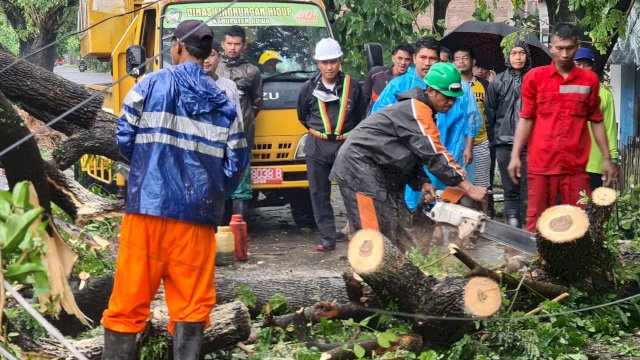Pohon Tumbang di Kabupaten Gowa Sulawesi Selatan, Jumat (2/4/2021).